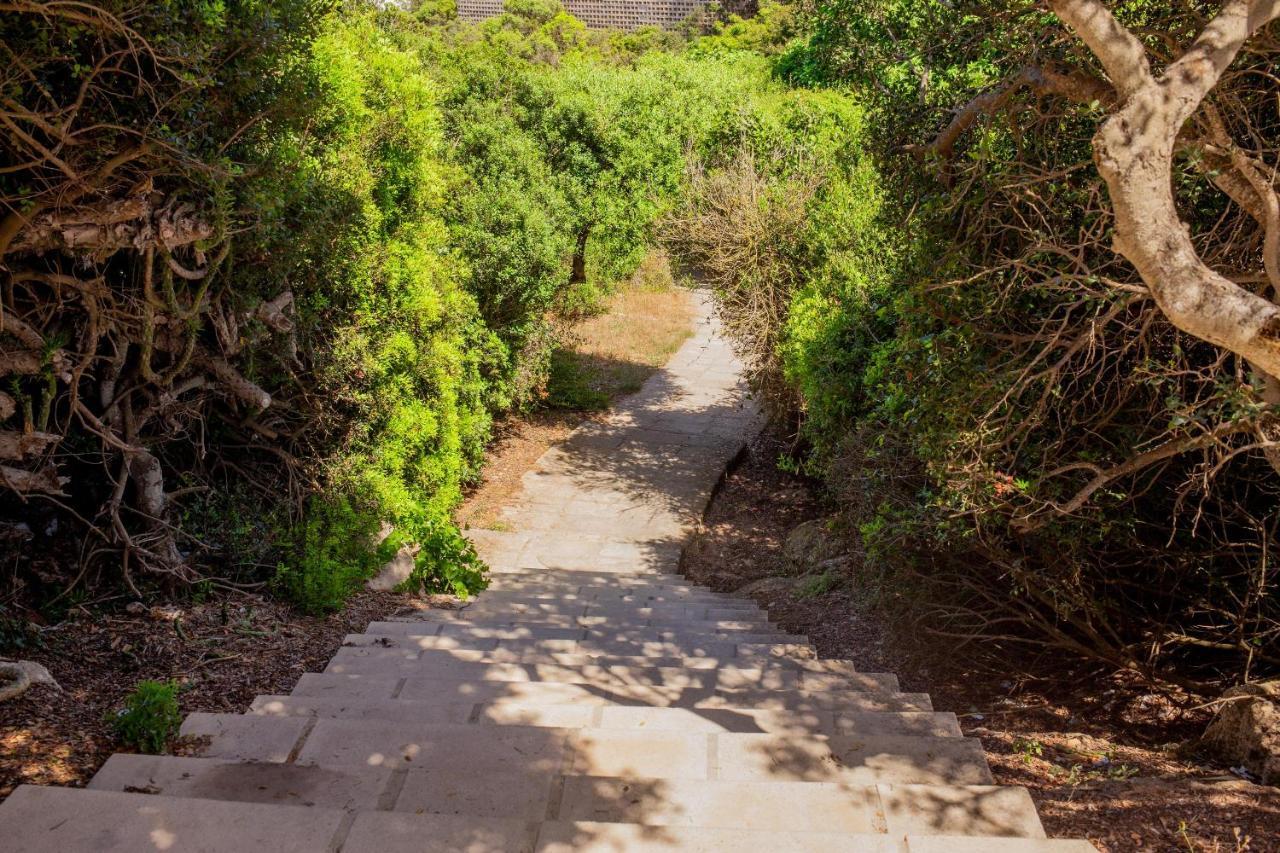 Villa Elfa Cala en Forcat Dış mekan fotoğraf